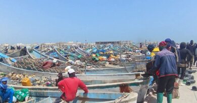 وزارة الصيد تمنح العاملين في مجال السماكة مهلة لتسوية أوضاعهم المهنية