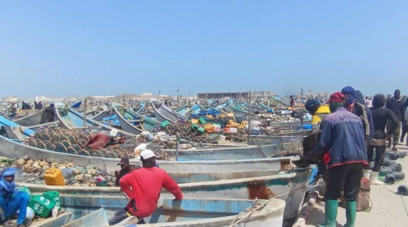 وزارة الصيد تمنح العاملين في مجال السماكة مهلة لتسوية أوضاعهم المهنية