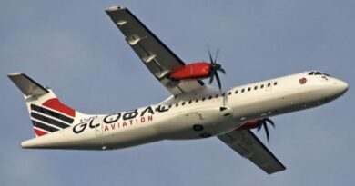 يمكن لموريتانيا الناجحة أن تُصدِّر نجاحها – يدال افال