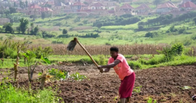 تقرير: إفريقيا تواجه تداعيات اقتصادية متزايدة بسبب حرب الشرق الأوسط