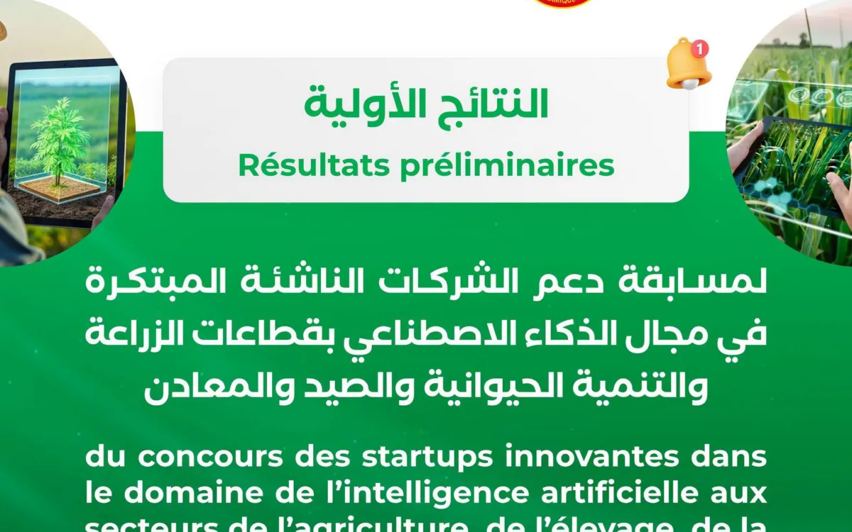وزارة تمكين الشباب تعلن نتائج مسابقة الشركات الناشئة في مجال الذكاء الاصطناعي