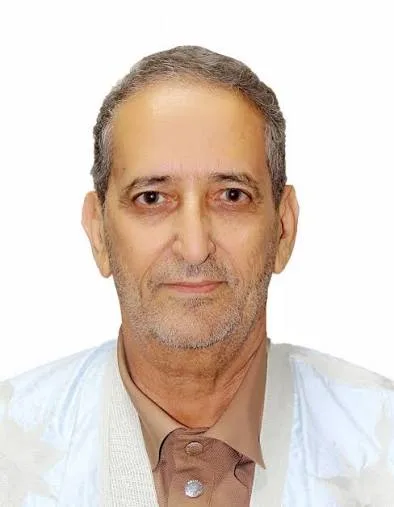 الدكتور سيدي أحمد ولد الأمير يدعو لرقمنة الأرشيف الوطني واستعادة الوثائق الموريتانية من الأرشيفات الأوروبية